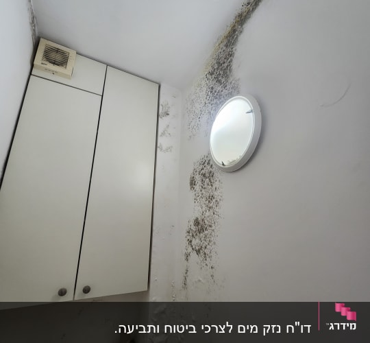 עובש על קיר חדר אמבטיה ליד ארון ומנורה
